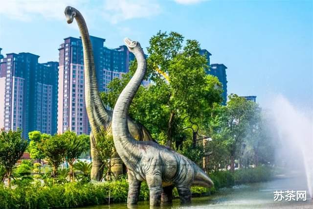 如何迅速拉近与江苏十三太保的距离(一句话激怒他们?)