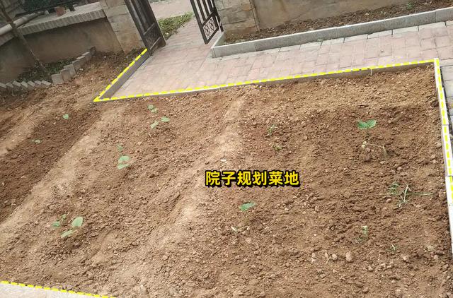 |不仅养老房要“适老化”,院子同样需要,做好这5点,爸妈都满意