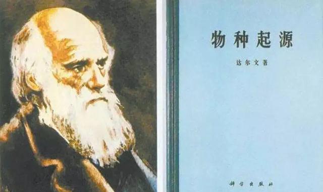 乌龟成为科学家们的噩梦,为何?堪称进化论的终极bug