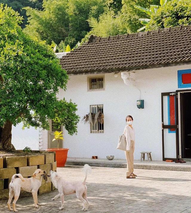 田馥甄|田馥甄夏至晒照，坐门前抠脚逗狗毫无偶像包袱