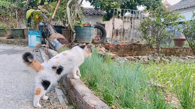 郑欣宜 春日彩色匹配，百变少女闪亮登场