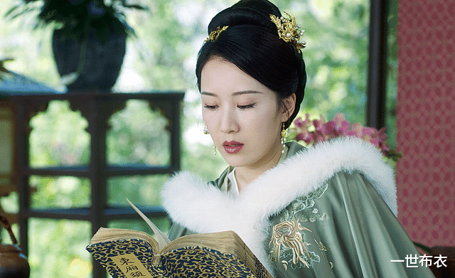 徐凤年|《雪中悍刀行》里徐凤年的老婆明确的有八个，你觉得哪个最好看？