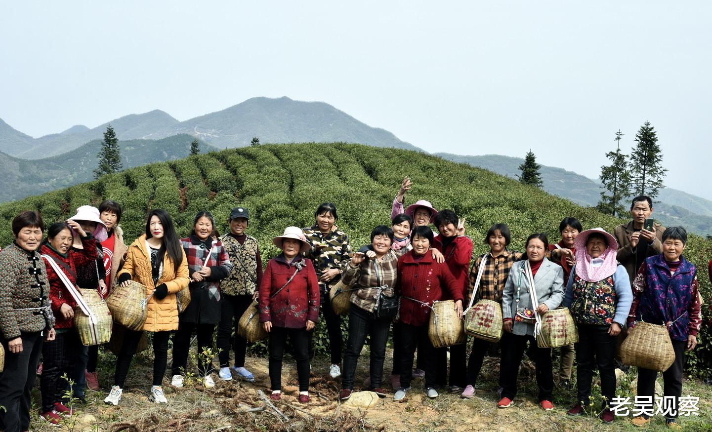 大别山|程其才：大别山上垦茶人