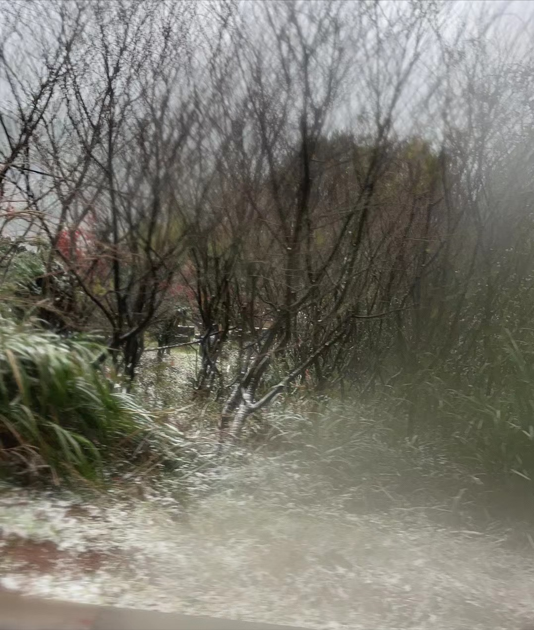 宁波|宁波看雪去哪儿?来看四明山雪的“初秀”,与朋友相约拍大片!