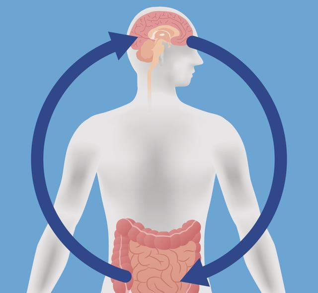 科学家研发“元弦”传感器:为“脑-肠轴”研究提供硬件工具
