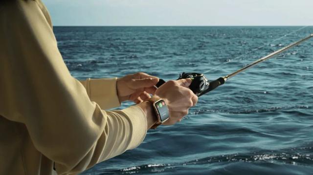 网信办|国产智能手表为什么总“差一口气”?