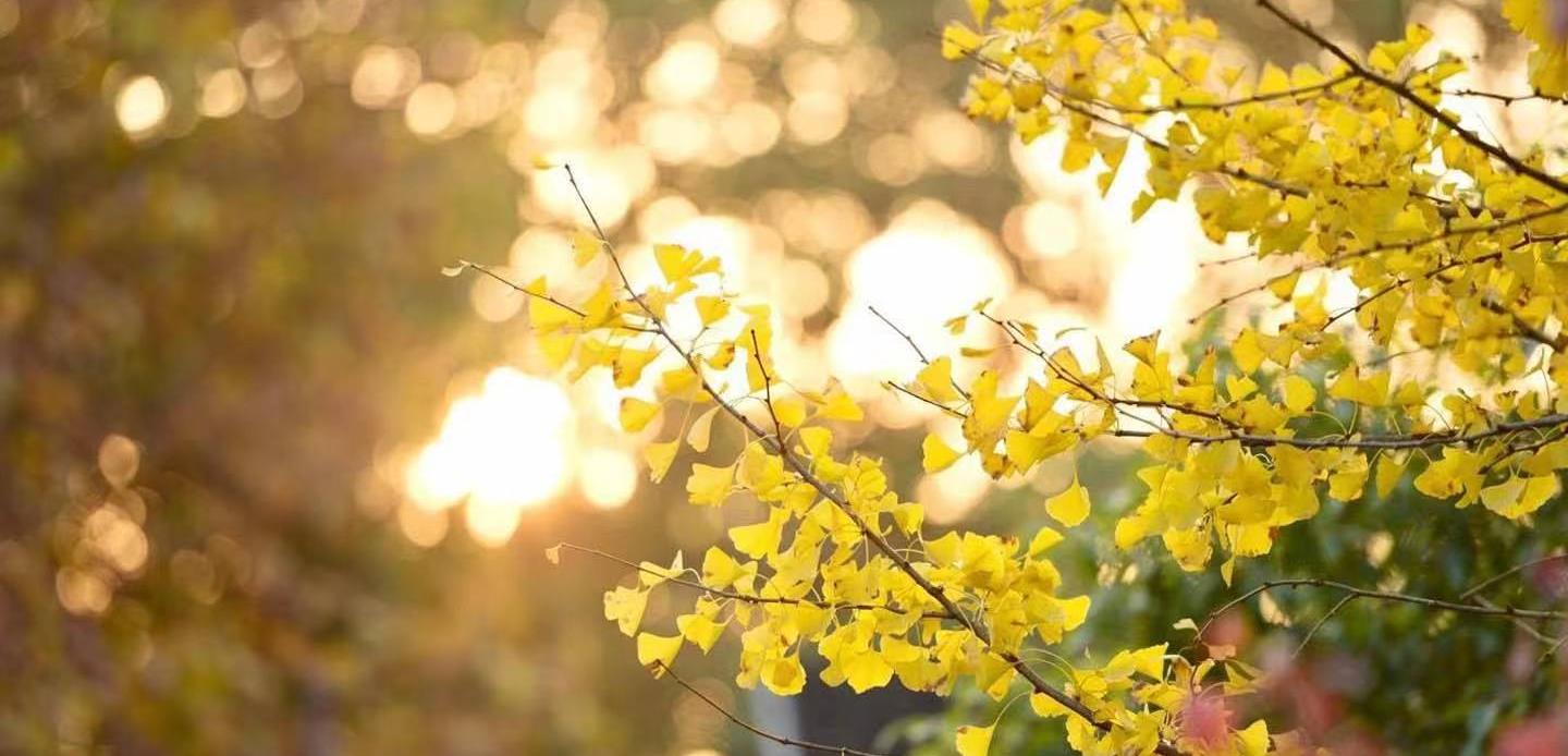 |一个人的教养,都藏在这些细节里