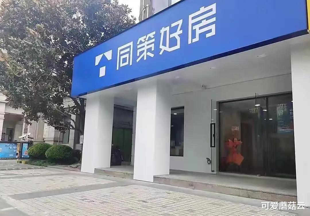 上海市|这家上海新锐二手房机构,宣布彻底躺平!全员自动停工