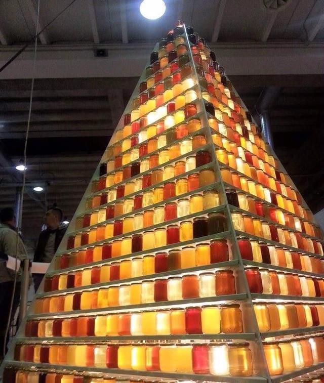 森林公园|40个让人敬畏的巨物