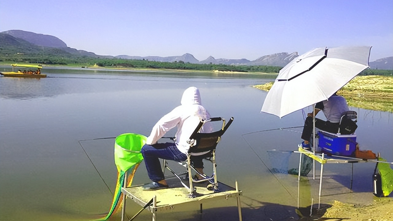 饵料|钓友圈出了个怪事，老赵左右的钓位成了香饽饽，原因何在？