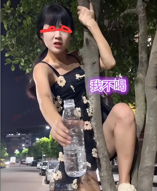 女子深夜爬树,让路人帮她把树下的狗赶走,路人:做我女友就帮你