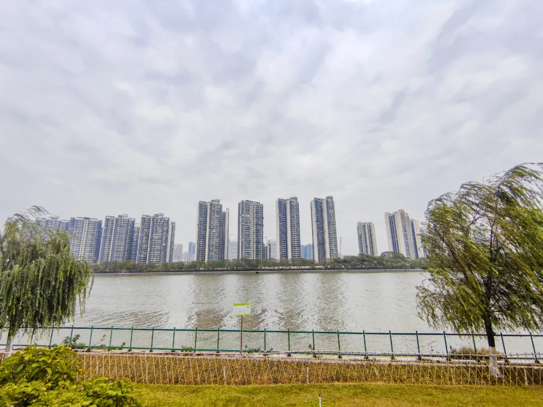 租赁|气死人！既办不了证、又住不了人，这俩盘超多人投诉