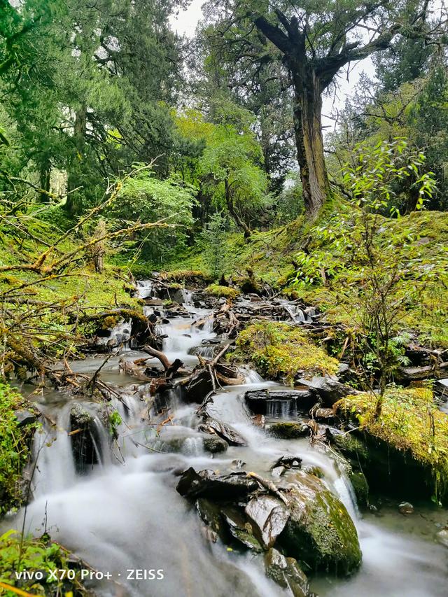 传感器|重度手机摄影爱好者,想问X70Pro+预算多少能入手?