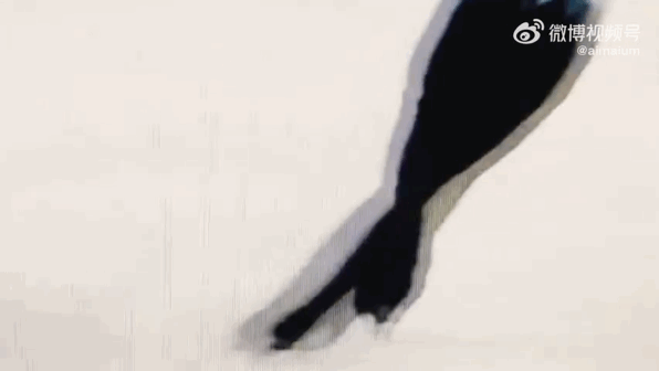 羽生結(jié)弦|羽生結(jié)弦的腿“成精”了！