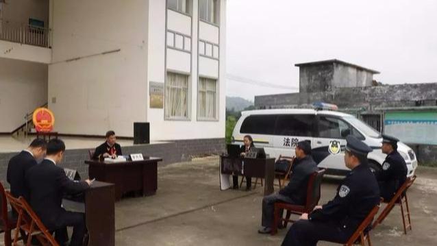 男子砍自家80棵白杨树，被判刑6个月，自家的树都不能砍了？