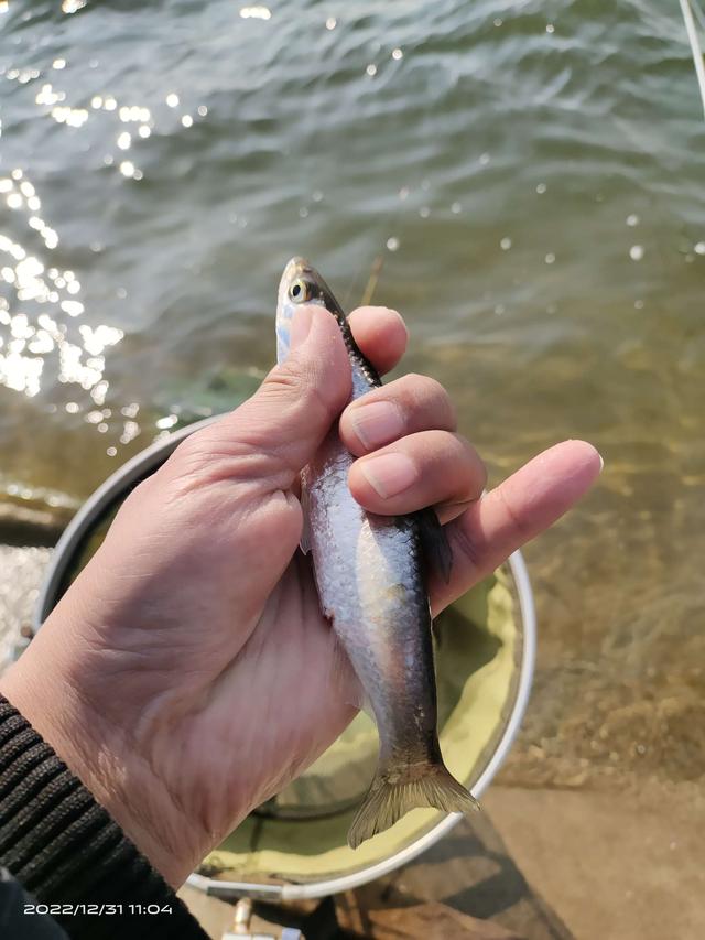 |大风大浪坚持浪,守得云开见月明