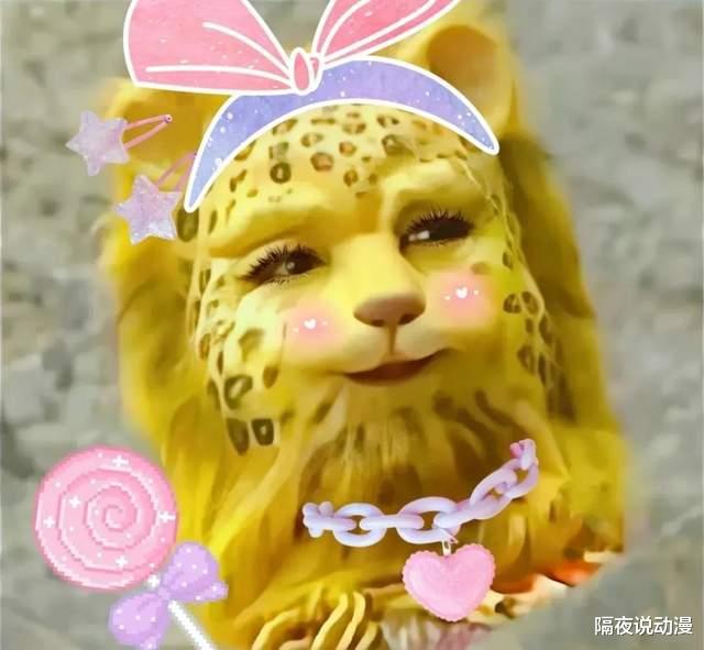 豹子|一夜之间,“金钱豹”刷屏互联网!年轻人为了暴富,究竟有多拼?