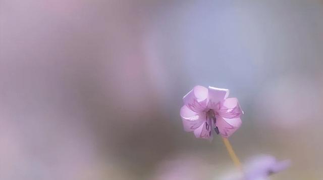 人到中年|人到中年，要学会演戏，该装就装