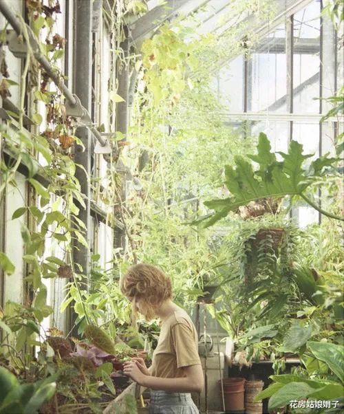 为了养花，买下带露台的顶楼，重新改造后，谈谈我的“真实感受”