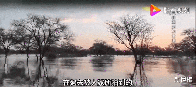 受不了了,别让她死于这场高烧