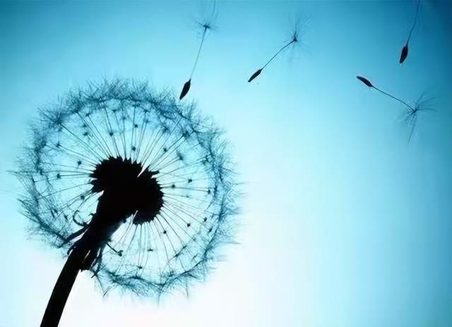 大学|给正在读大学和即将步入大学校园的学弟学妹们的5条最实用的建议，少走弯路