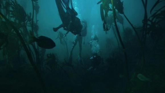 二次元|plmm夏日穿搭颜色只有牛油果绿?有种海洋蓝必须拥有姓名