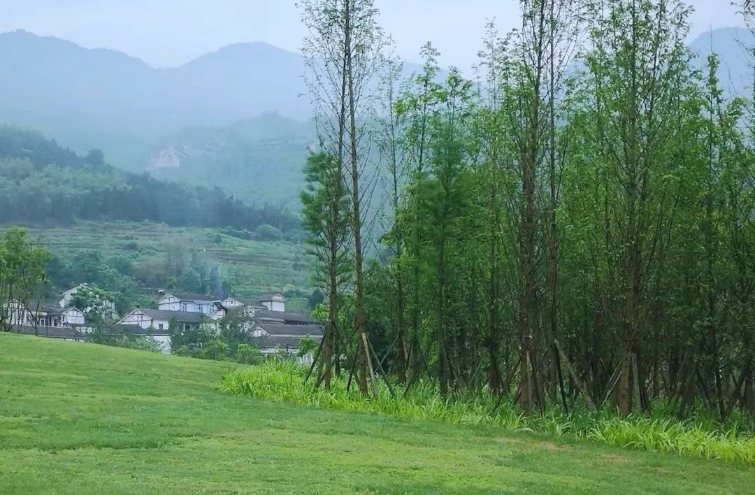 黑山谷|重庆万盛旅游景点汇总，石林比黑山谷好玩