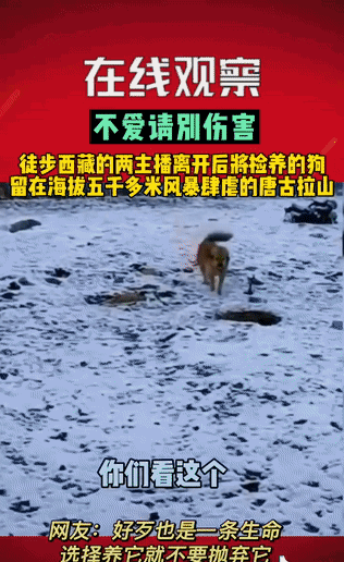 花果山|疫情下的解药，除了王心凌，还有2019的世界旅行
