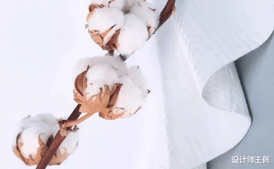 投影仪|电视是否会退出寻常家庭,家电“新宠”会成为年轻人的选择吗?