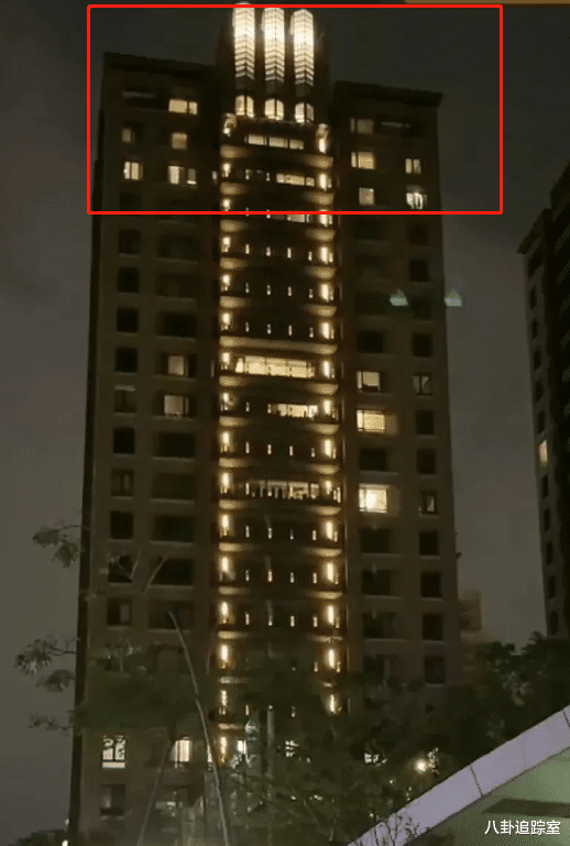 大S|真将汪当摇钱树?大S4亿豪宅曝光,三层房屋灯火通明,疑种某植物