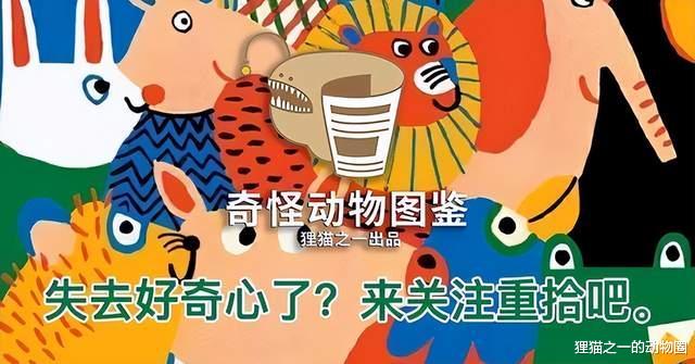 美人鱼原型在中国已功能性灭绝,受全球保护,却仍因人类走向灭亡