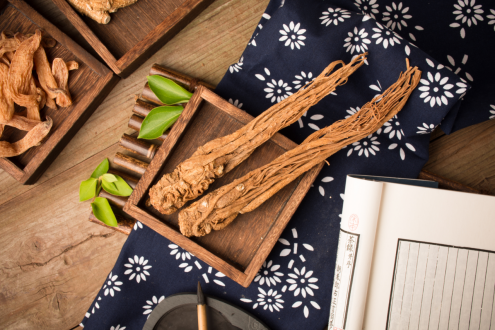 中药|当归不归:中药当归的故事