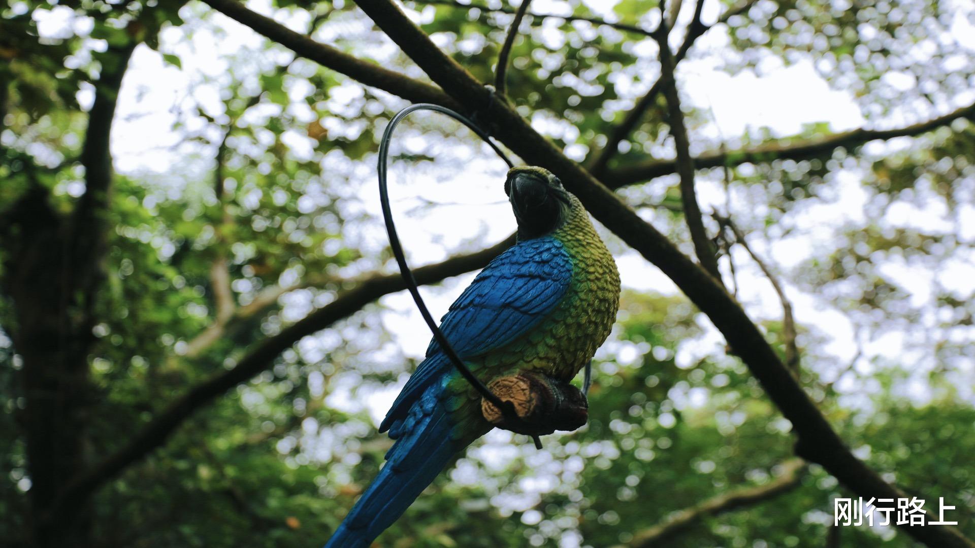 月亮湾|铜鼓岭:海南最东端的临海山岭,可观赏月亮湾