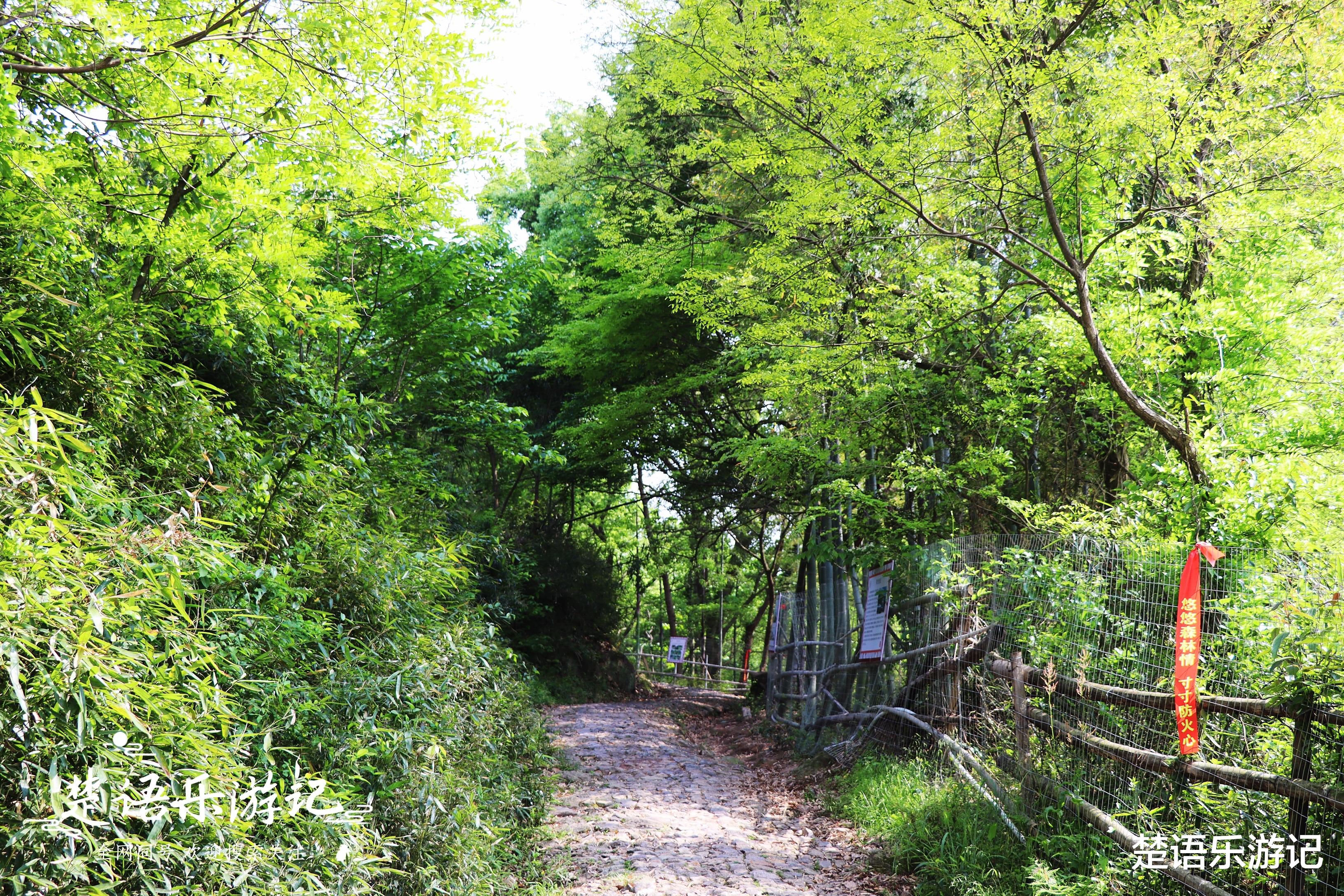 |浙江这个古村不仅历史悠久，竟有两条旅游古道，成为美丽的风景线