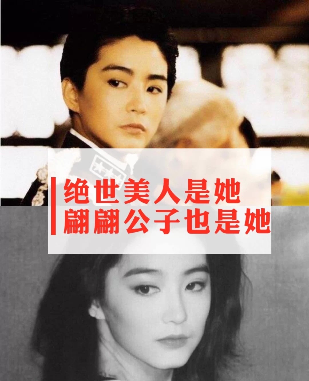 林青霞|为何“女生男相、男生女相，是为极品”？林青霞、张国荣当属代表