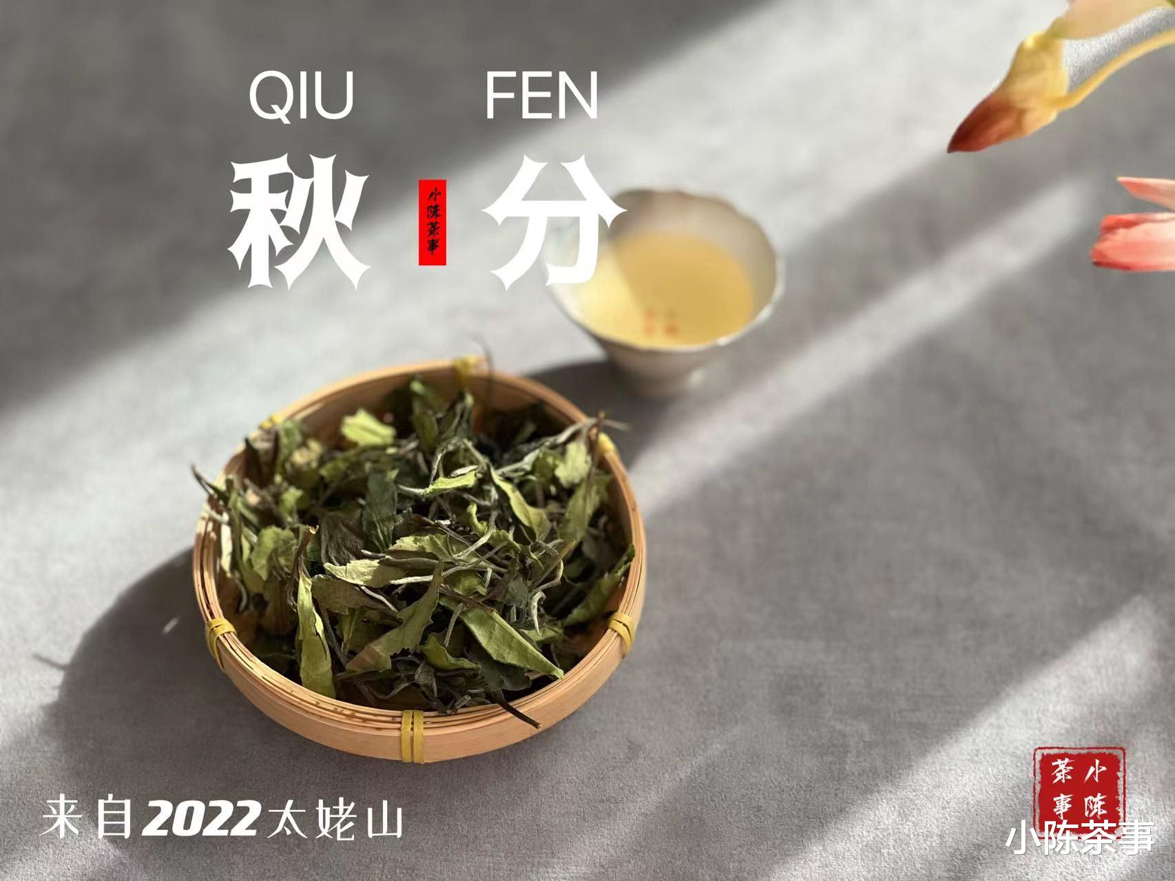 冬天宜喝老茶、熟茶、全发酵茶，但不能喝新白茶，是不是这样？