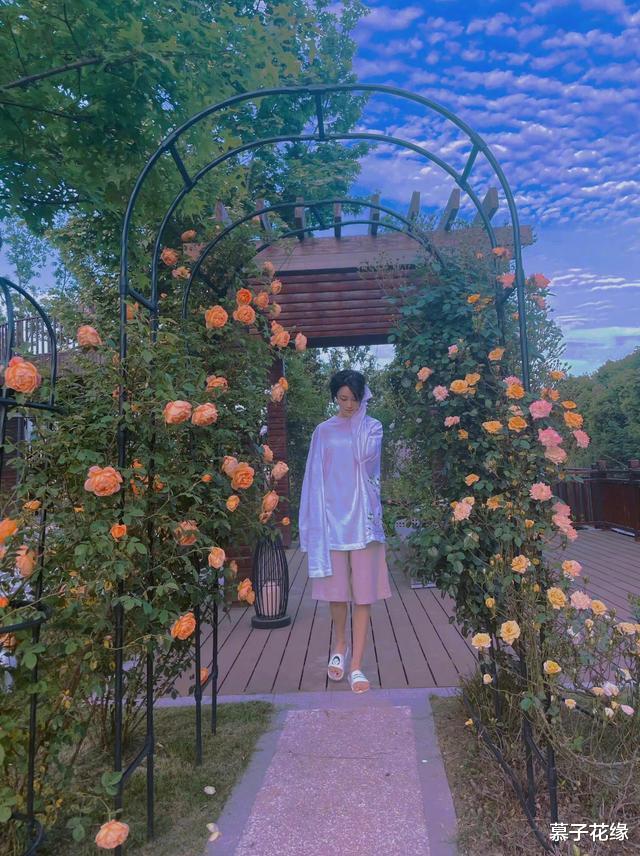 赵雅芝|发现张馨予的生活太精致,院子里栽满的不光有花果蔬菜,还有幸福