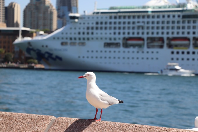 |澳大利亚~~不枉此行休闲游