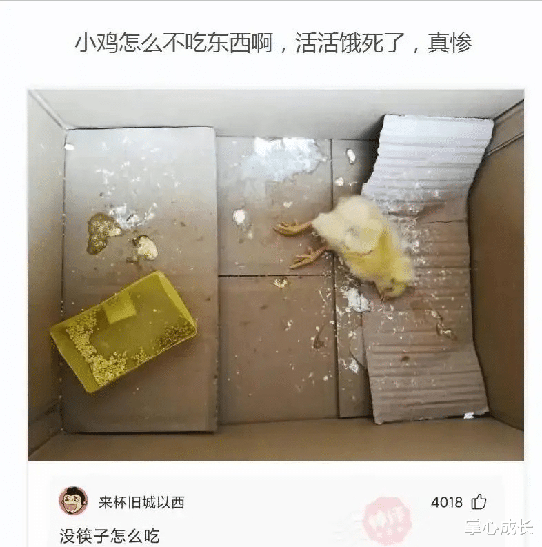 发型 事实证明，多帅的发型都弥补不了颜值的差距！太扎心....