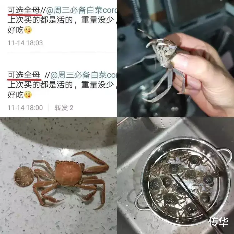 中国人,被阳澄湖大闸蟹骗了30年