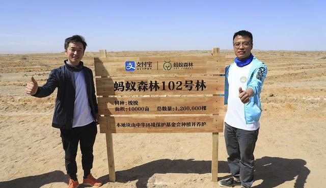 蚂蚁森林|马云曾经承诺每年要在沙漠种1亿棵树,6年过去了,那些树怎样了?