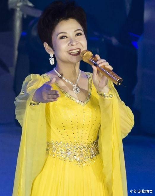 23岁爆红，13次舞台名气超毛阿敏，38岁陷“八卦”，今落如此下场