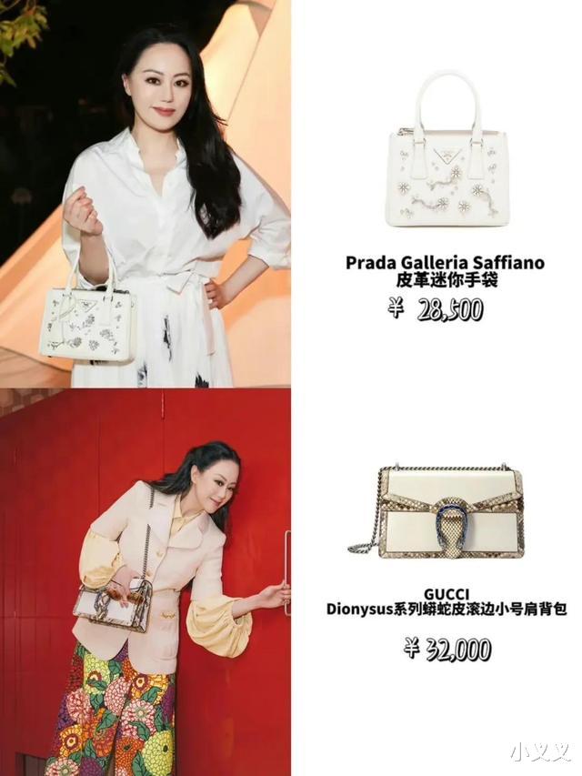 章小蕙|什么是人间富贵花?看完这五位,你就会明白饱满圆润才是真的福气