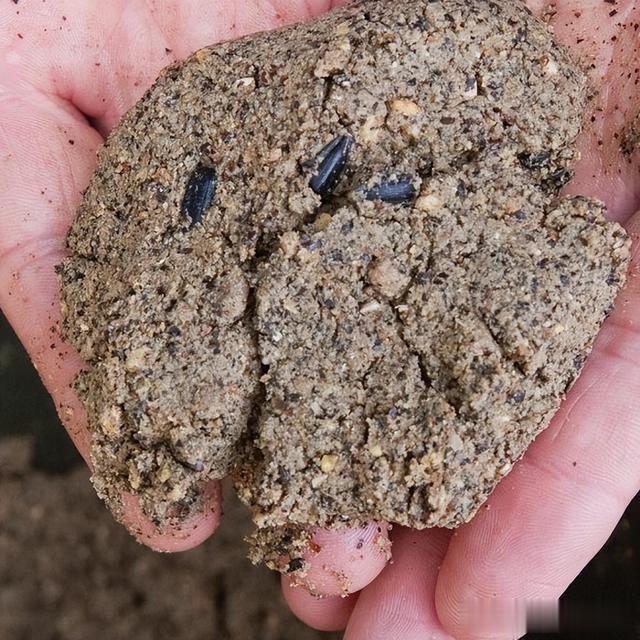话说欧鲤钓|《话说欧鲤钓》诱钓篇,窝料坠节