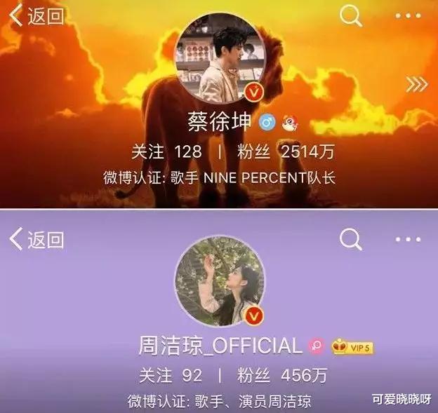 宋智雅|红了半个月，就凉了？