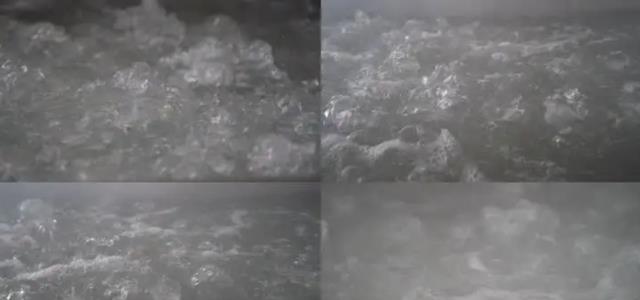从科学角度来看,冻死和热死,哪一种更好受一些?