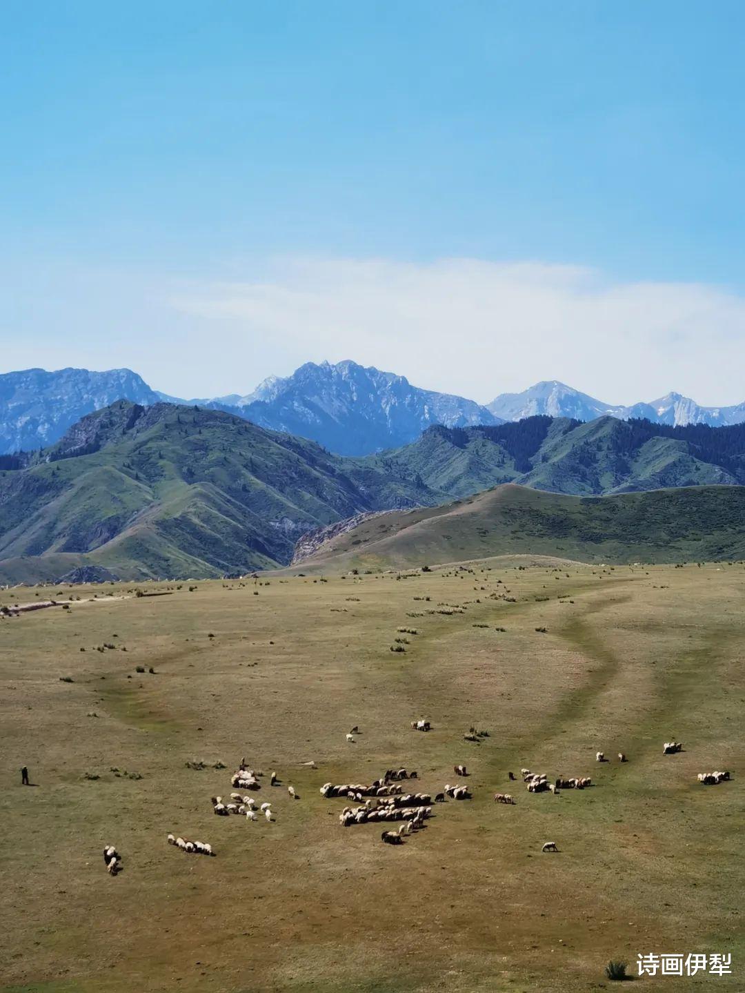 新疆维吾尔自治区|伊昭公路 —— 被誉为新疆最美的公路之一