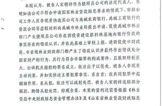 山东省禹城市宋朝祥被指控犯有诈骗罪,疑其判罚违背法律基本原则