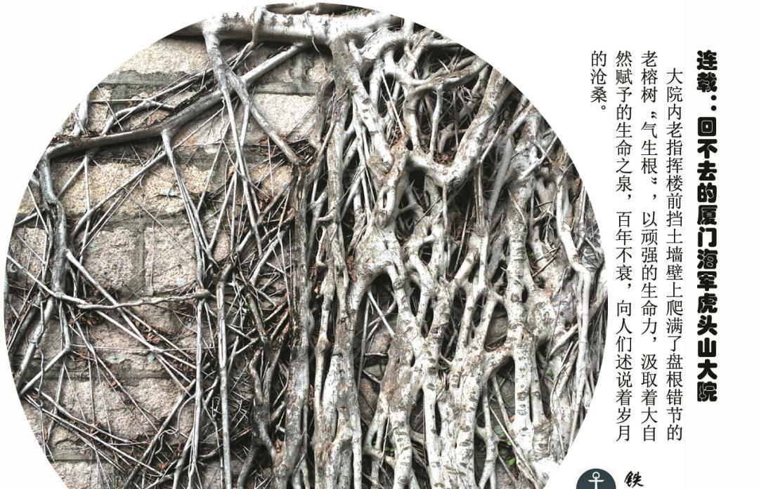 阆中|铁锚｜回不去的厦门海军虎头山大院