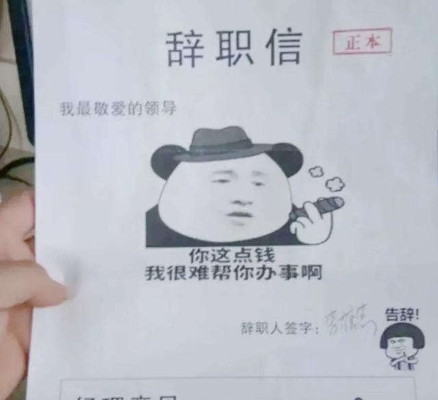 00后|“我要回云南避暑”，00后辞职理由太随意，没想到领导回复更扎心